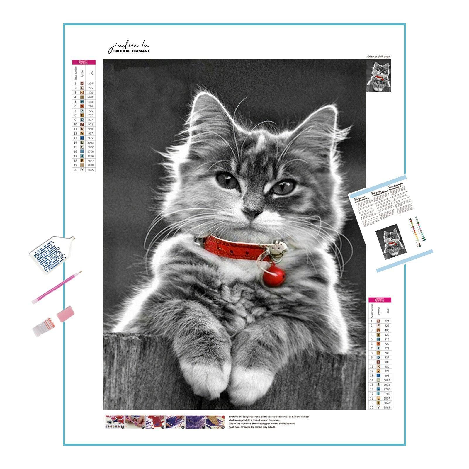 A cat adorned with a red necklace. Cat With A Red Necklace - Diamondartlove
