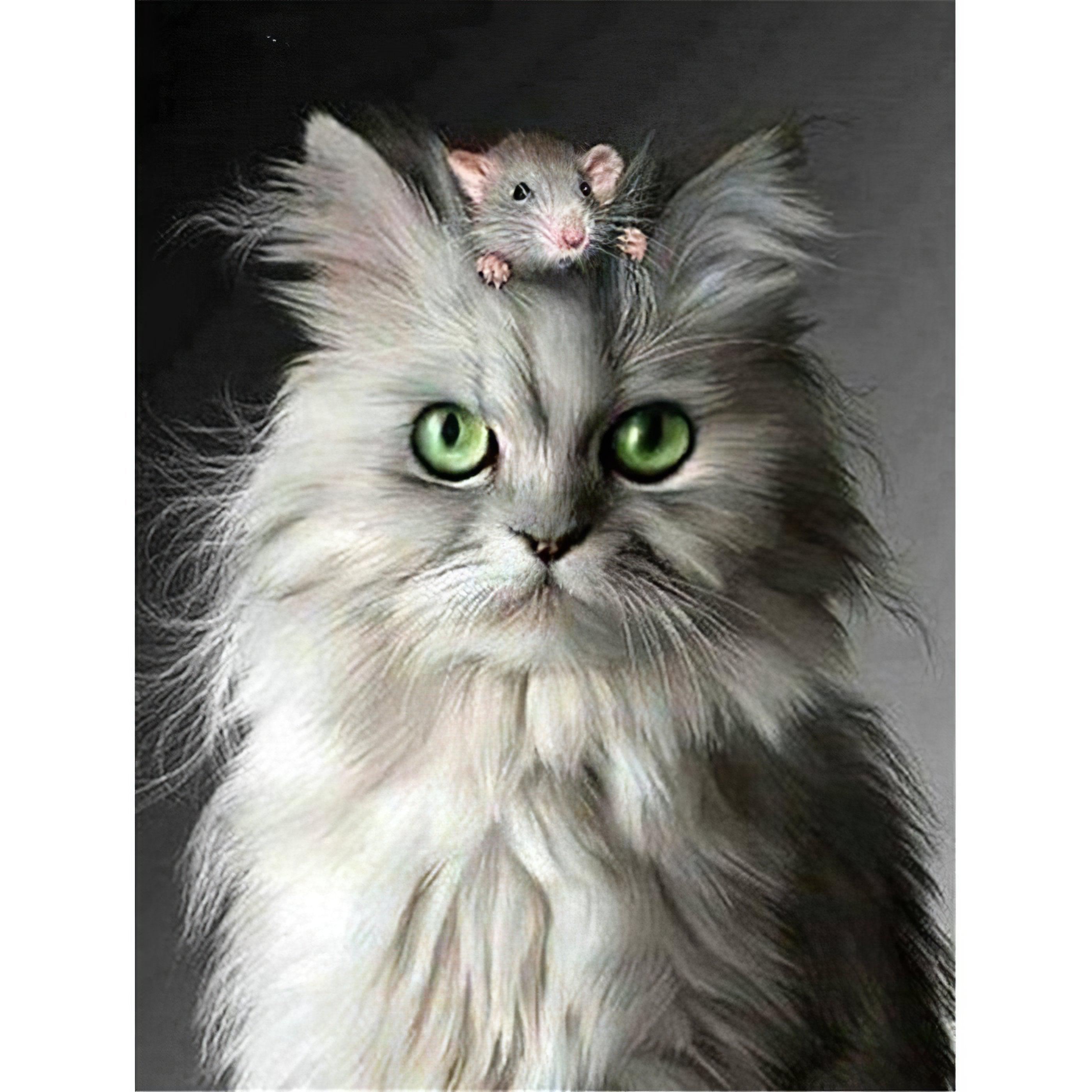 Angry Cat with The Rat: A whimsical chase frozen in time Angry Cat With The Rat - Diamondartlove