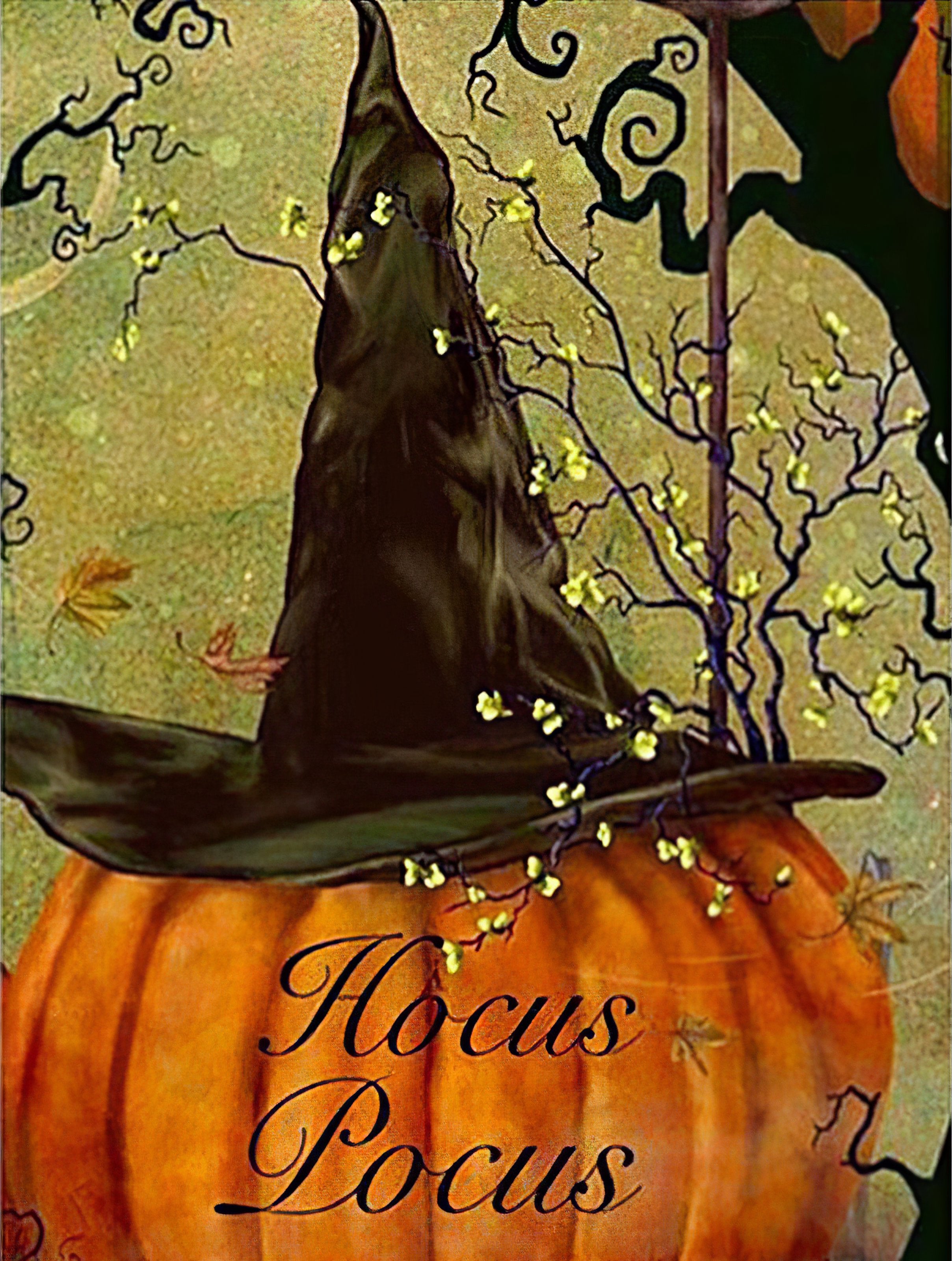 Pumpkin With A Witch'S Hat