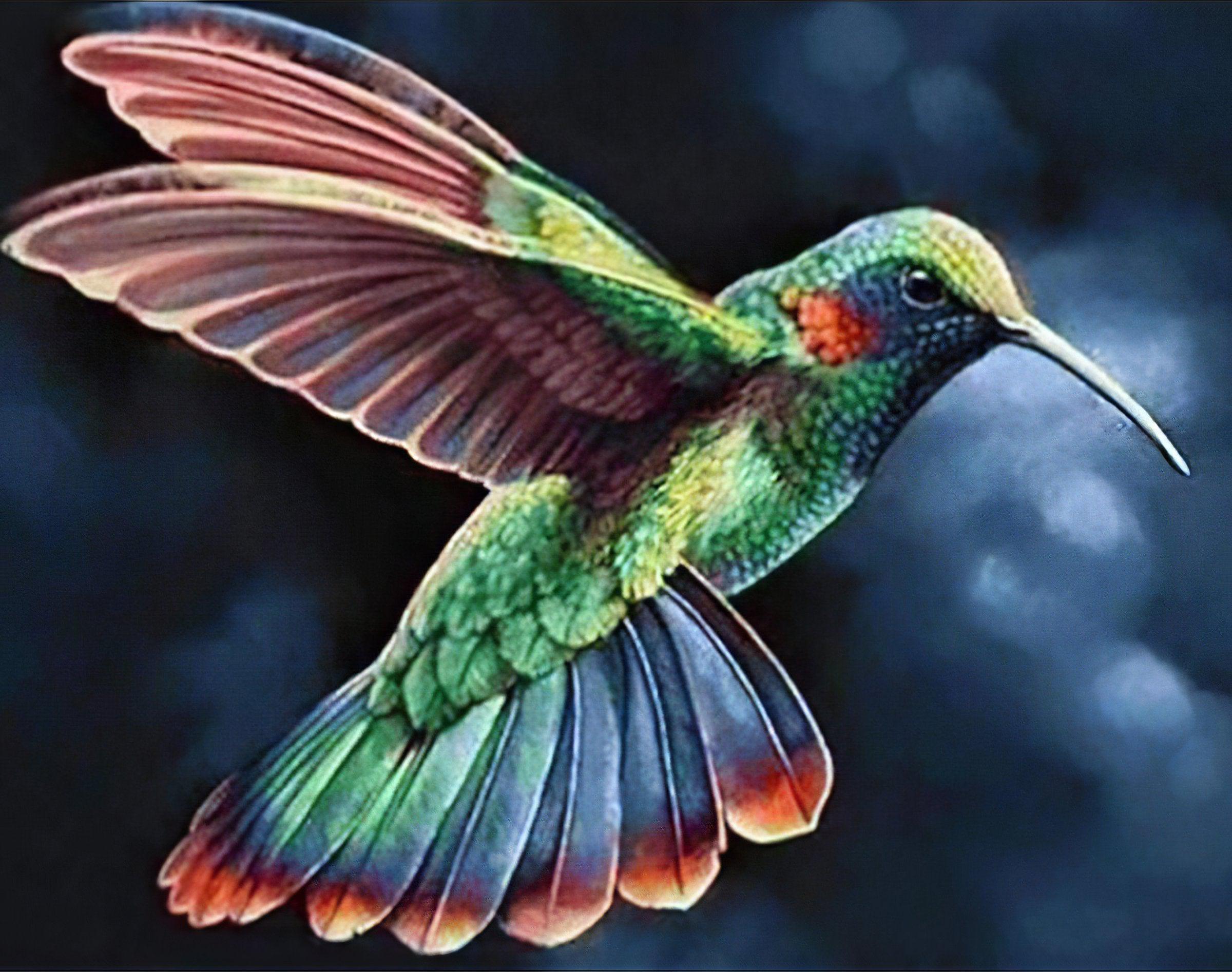 Marvel at the delicate beauty of a Humming-Bird in flight.Humming-Bird - Diamondartlove