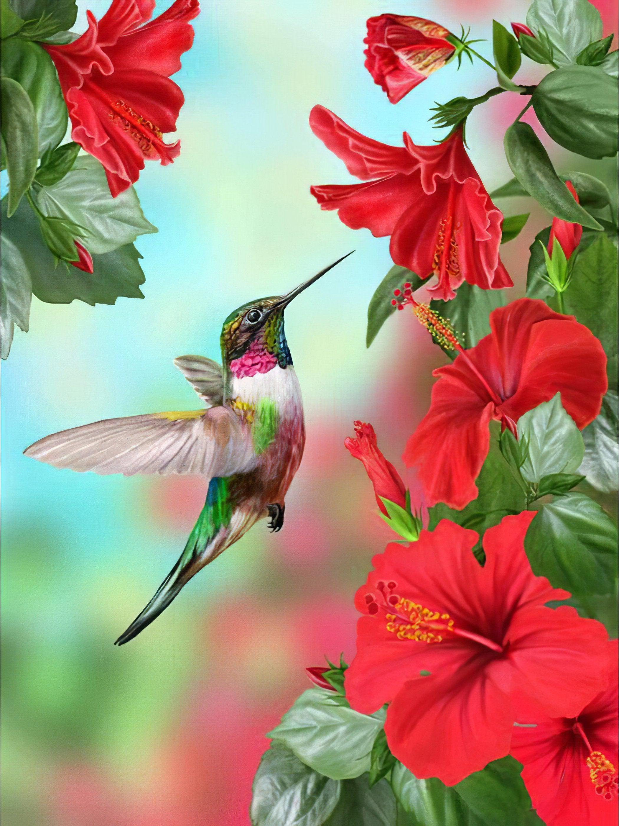 Enjoy the vibrant colors of another enchanting Humming-Bird.Humming-Bird - Diamondartlove