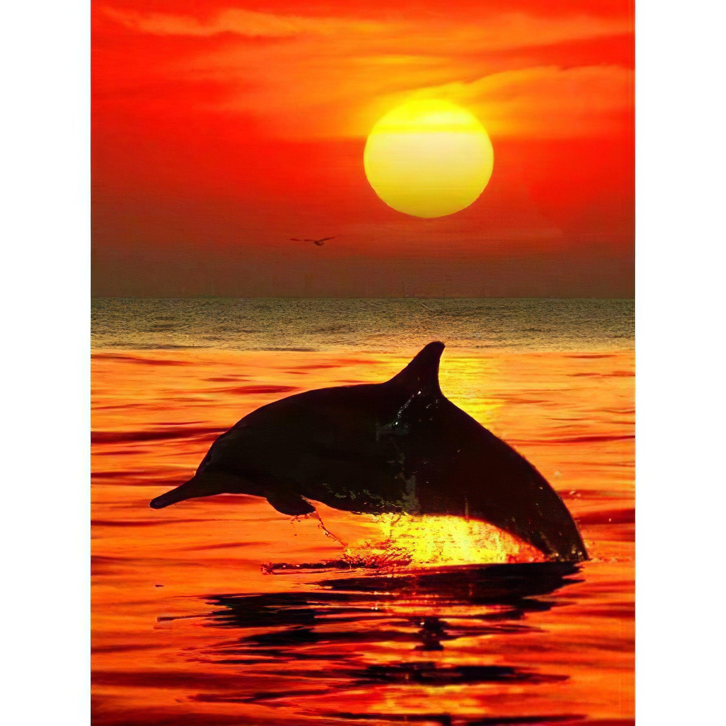 Enjoy serene views with Dolphin Under The Sunset art.Dolphin Under The Sunset - Diamondartlove