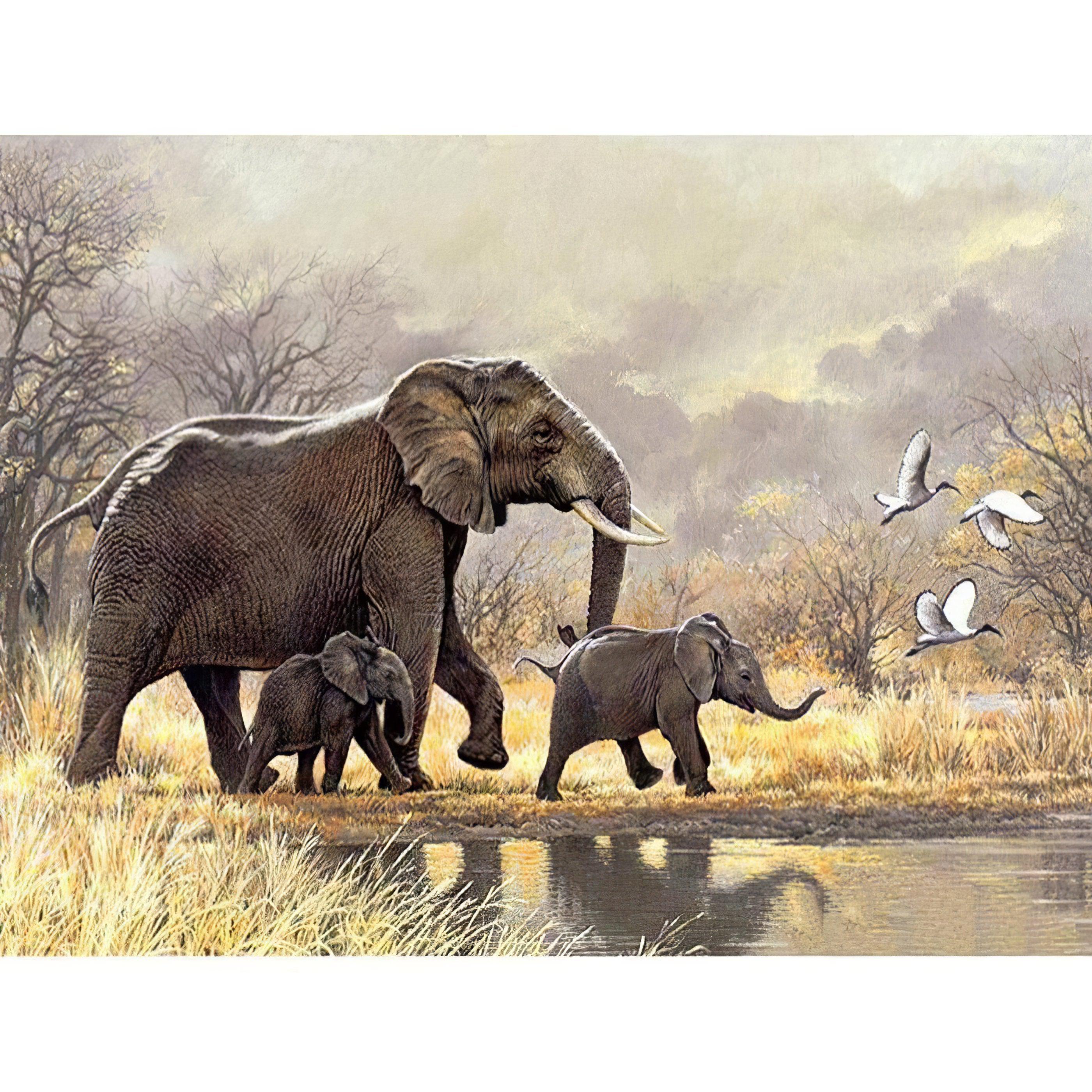 Moving Family Of Elephant