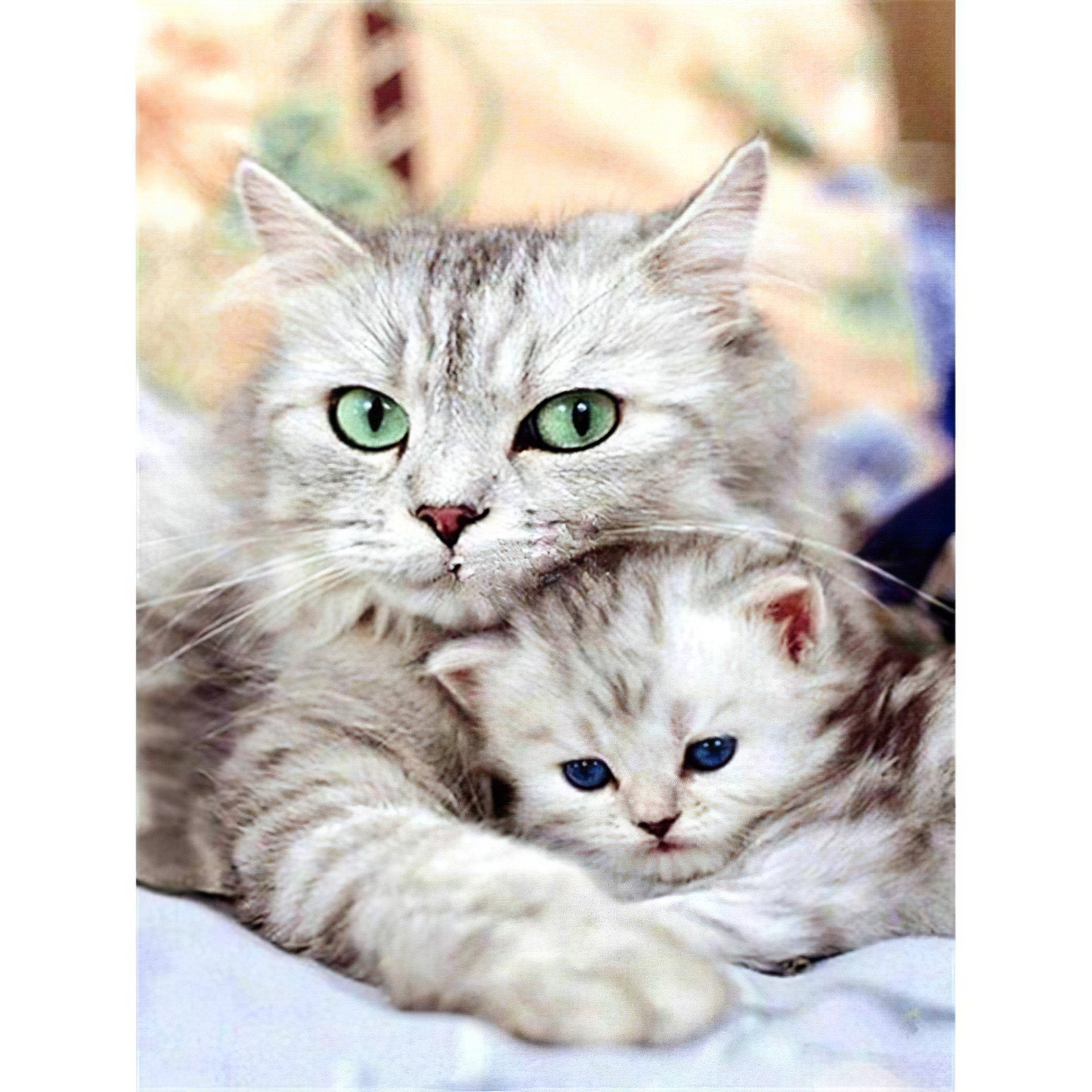 Adorable two cute cats artwork, ideal for cat lovers.Two Cute Cats - Diamondartlove