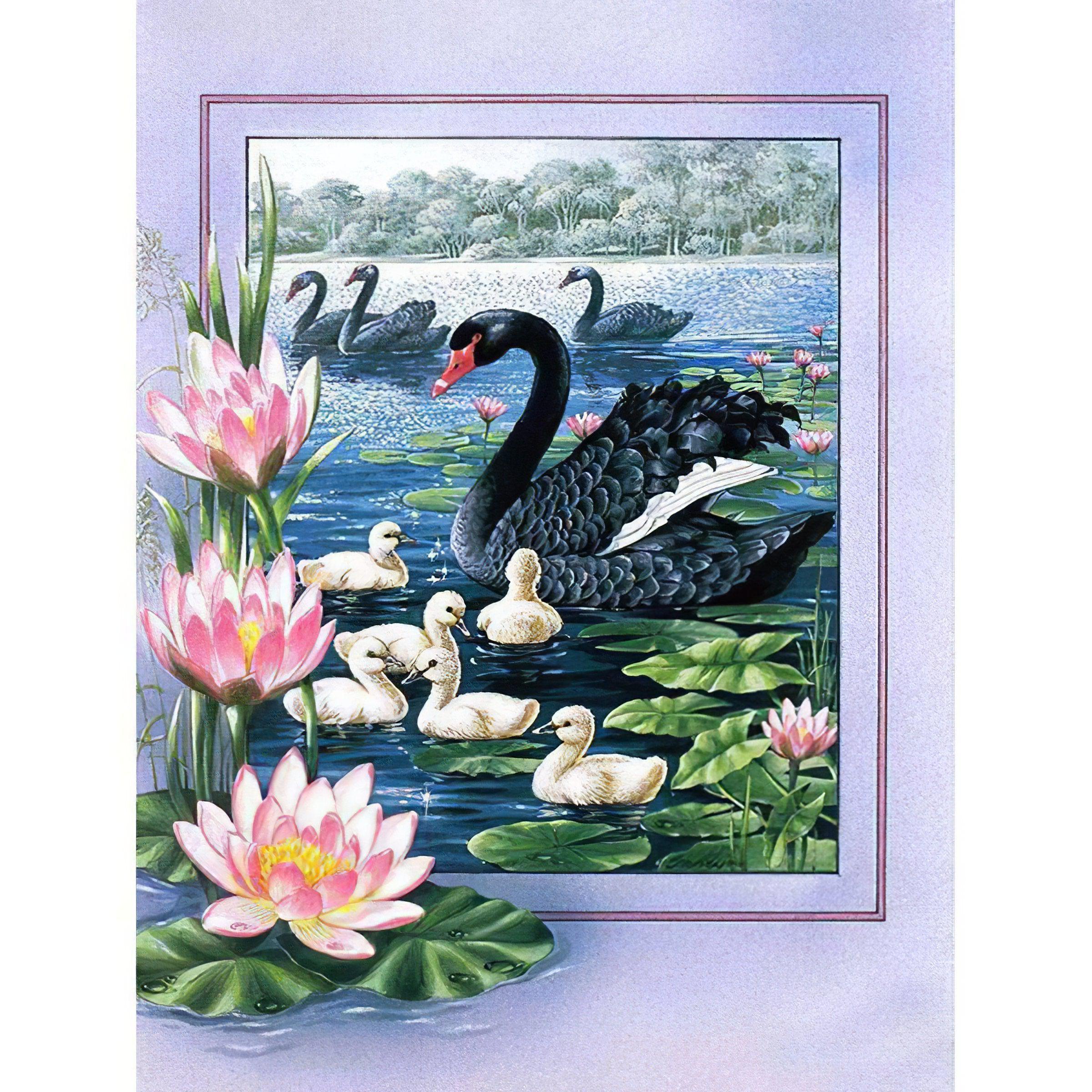 Elegance and transformation captured in the striking image of a black swan. Black Swan - Diamondartlove