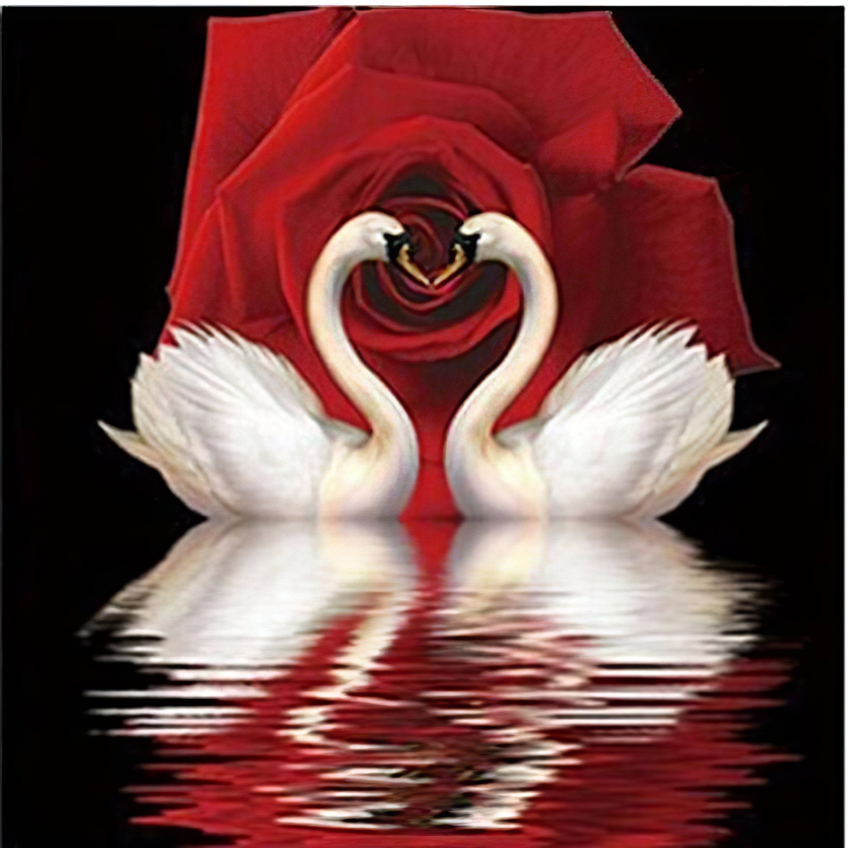 Witness the elegance of a swan among floating roses, creating a scene of serene beauty.Rose And Swan - Diamondartlove