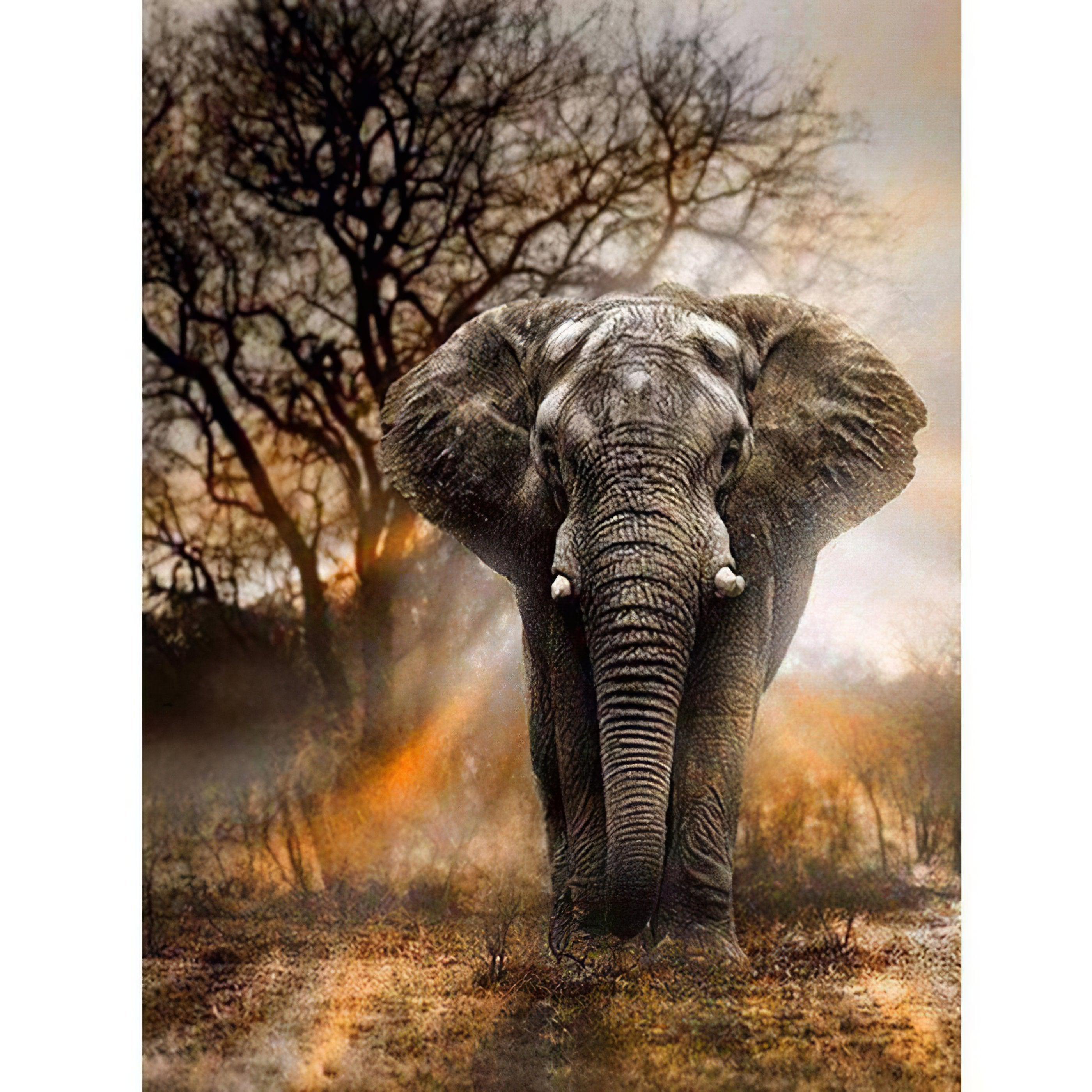 Witness the majestic power of a Savage Elephant in its natural habitat.Savage Elephant - Diamondartlove