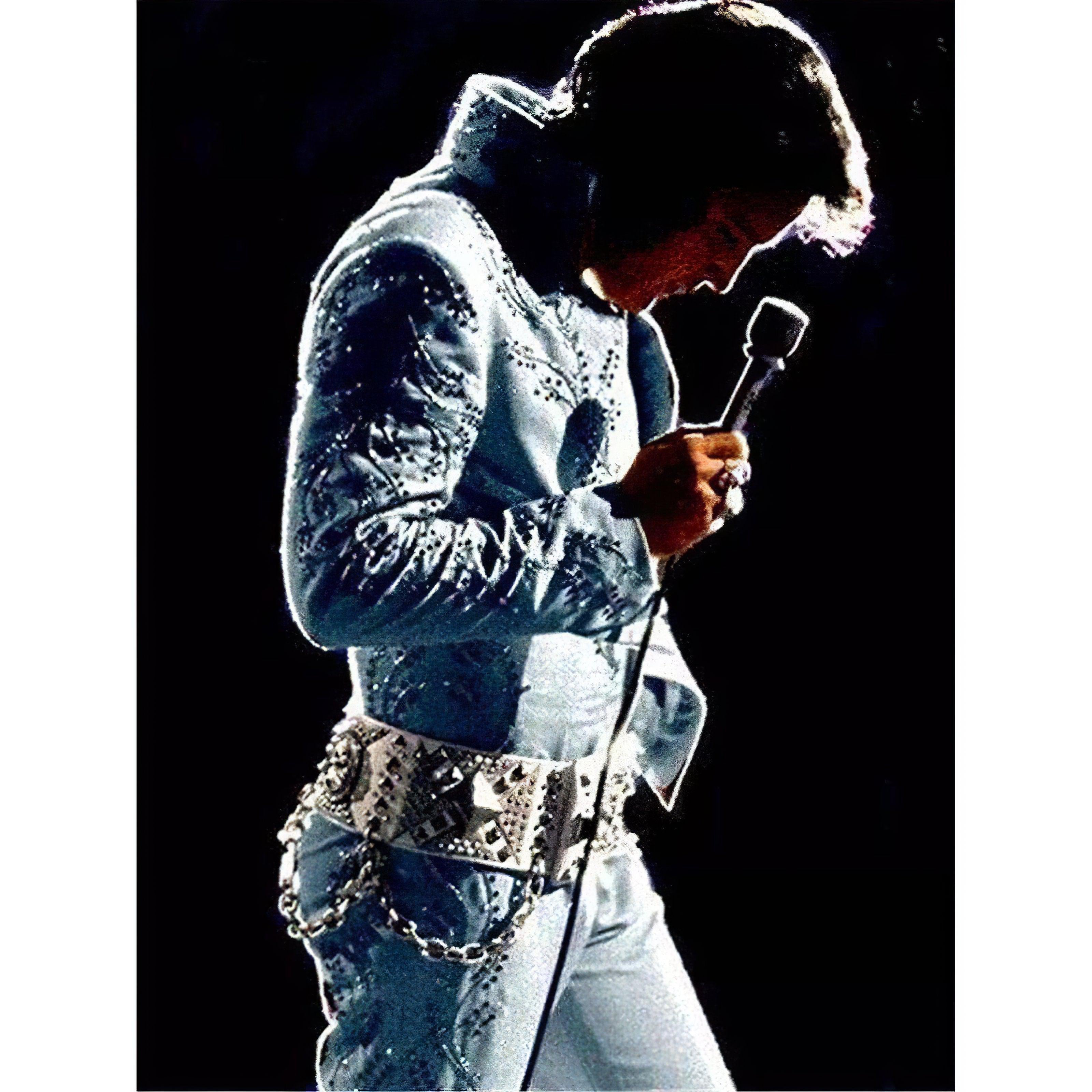 Channel rock legend vibes with this iconic scene.Elvis Presley - Diamondartlove