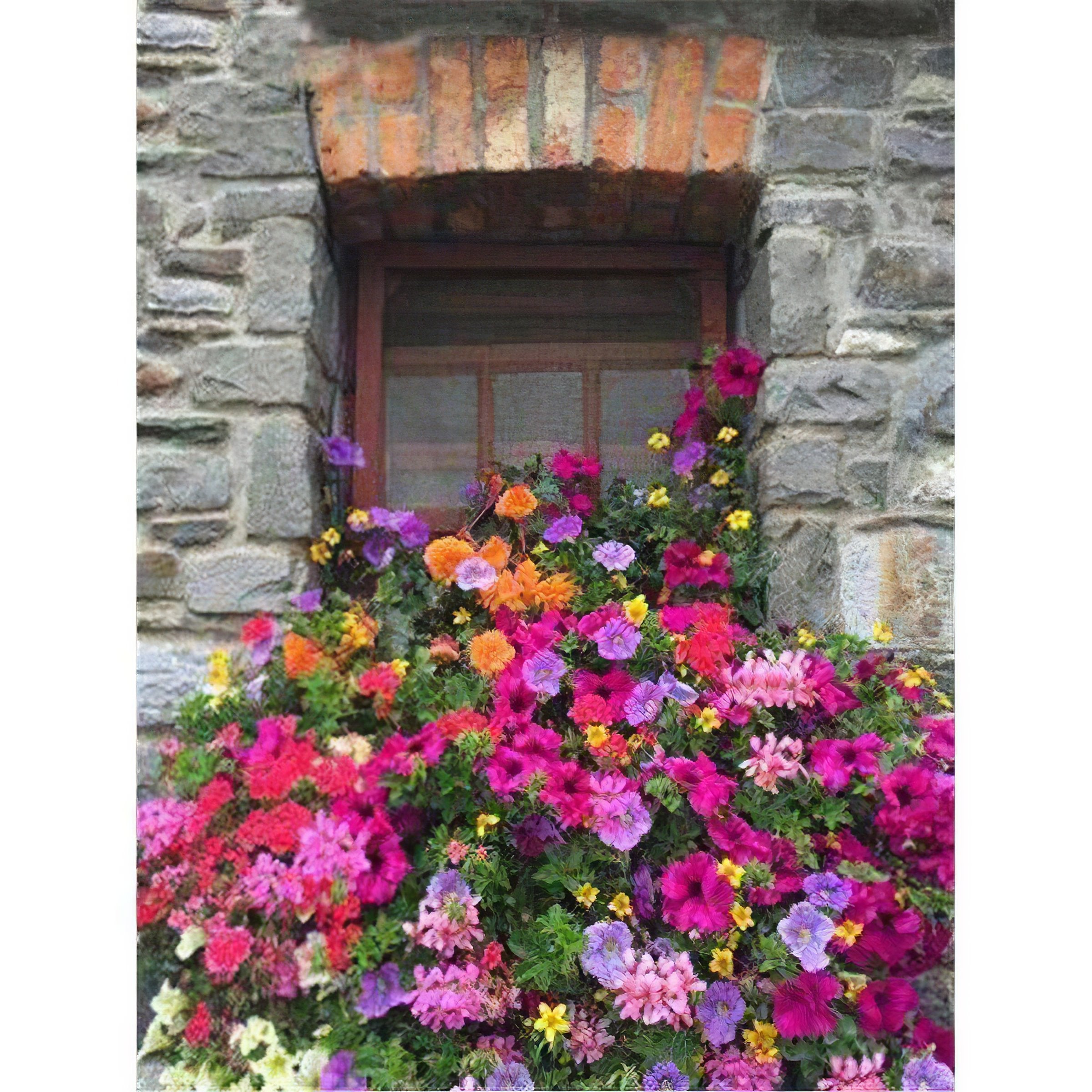 Brighten your view with a rainbow of colored flowers on a window sill. Colored Flowers On Window Sill - Diamondartlove