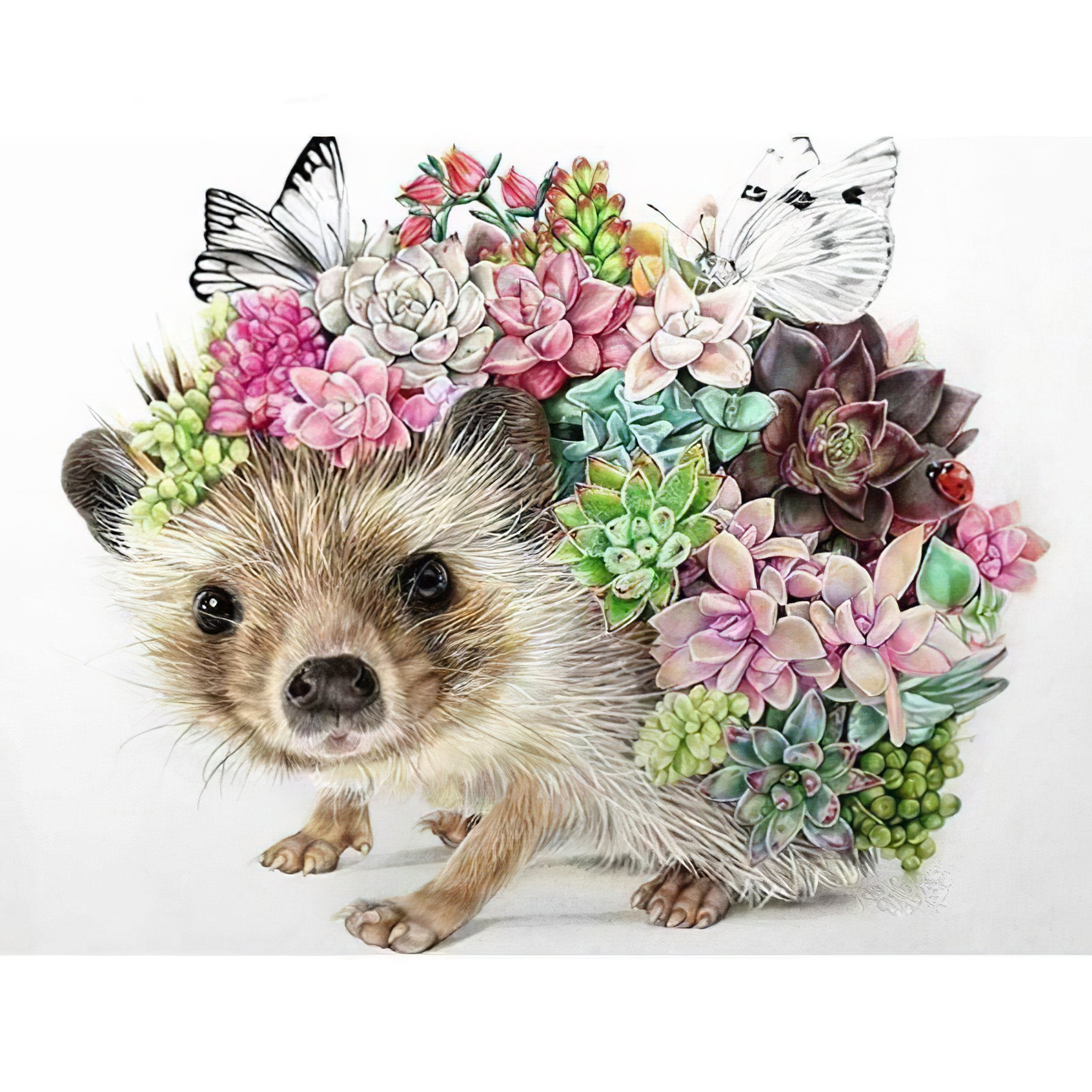 Delight in the cuteness of a Hedgehog in colorful detail.Hedgehog - Diamondartlove