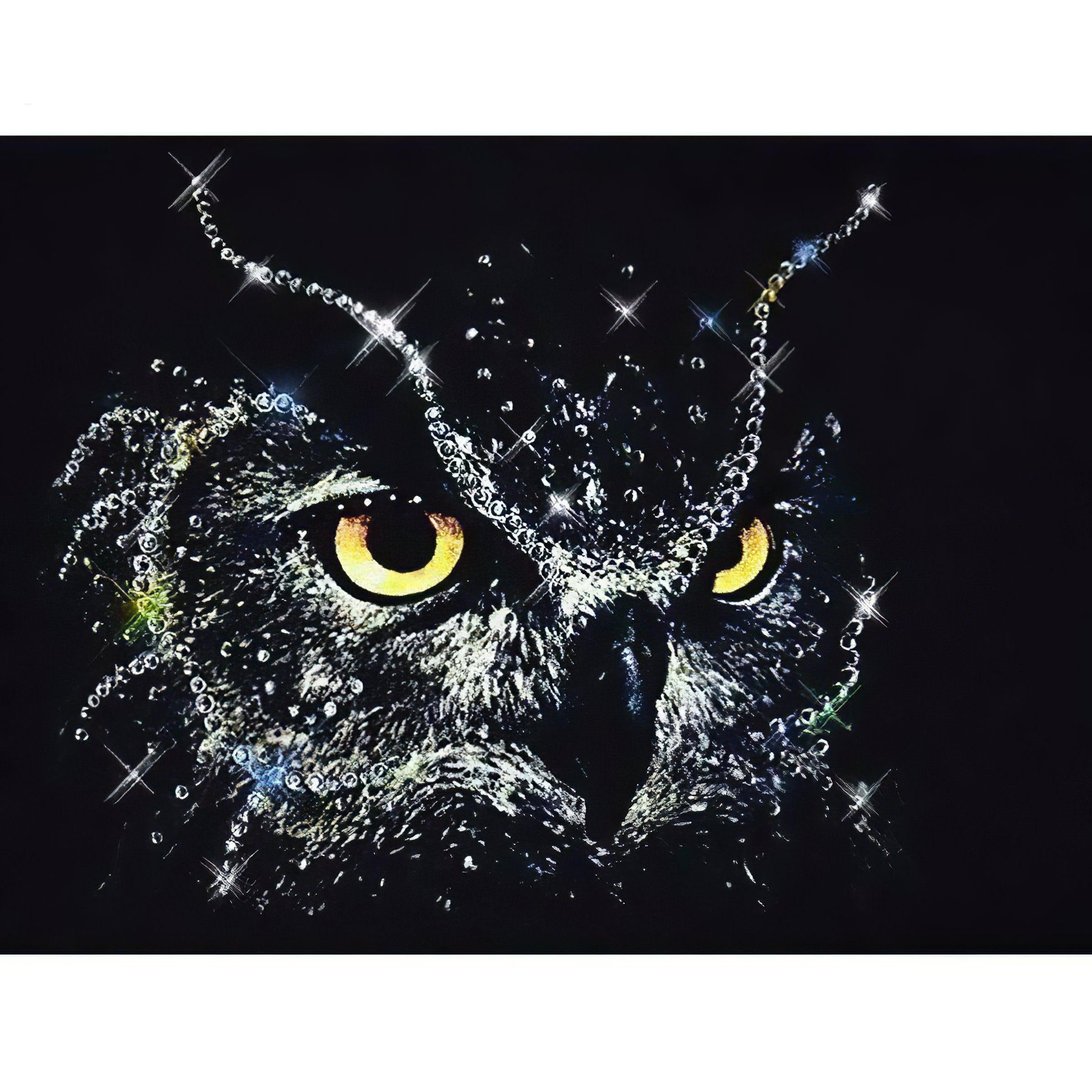 The wise black owl, an icon of knowledge shrouded in darkness. Black Owl - Diamondartlove
