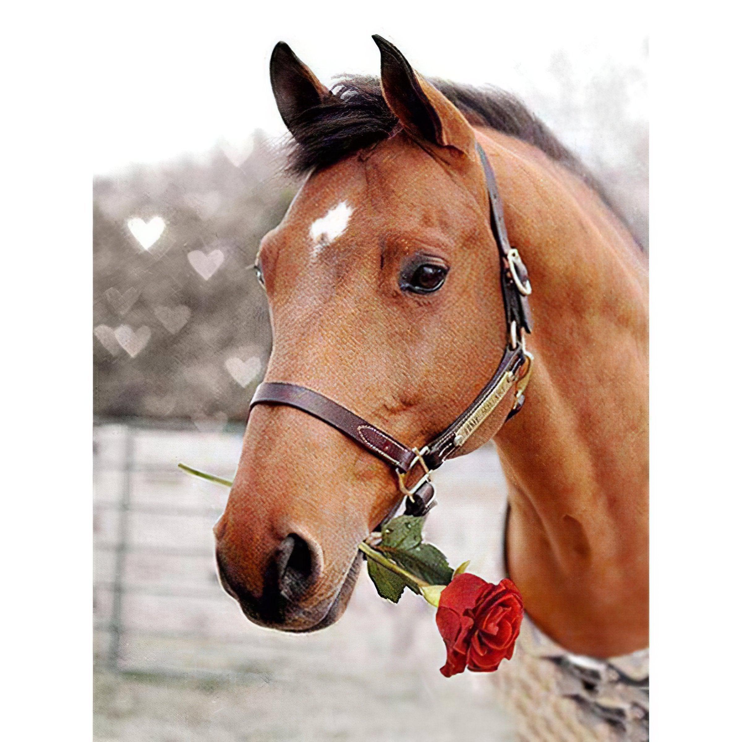 Experience romance with a Horse carrying a rose.Horse With Rose In The Mouth - Diamondartlove