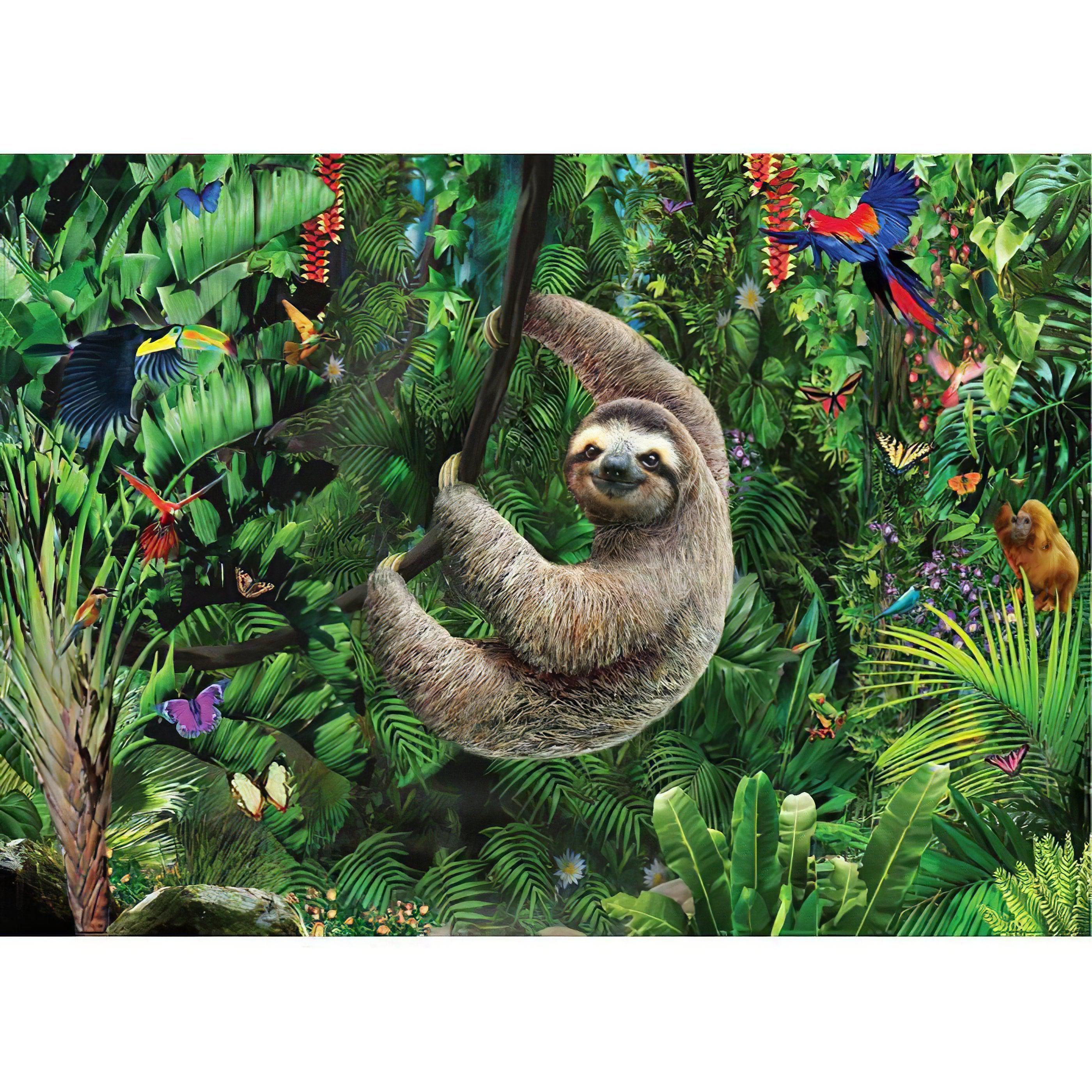 Tropical Forest And Humid Sloth