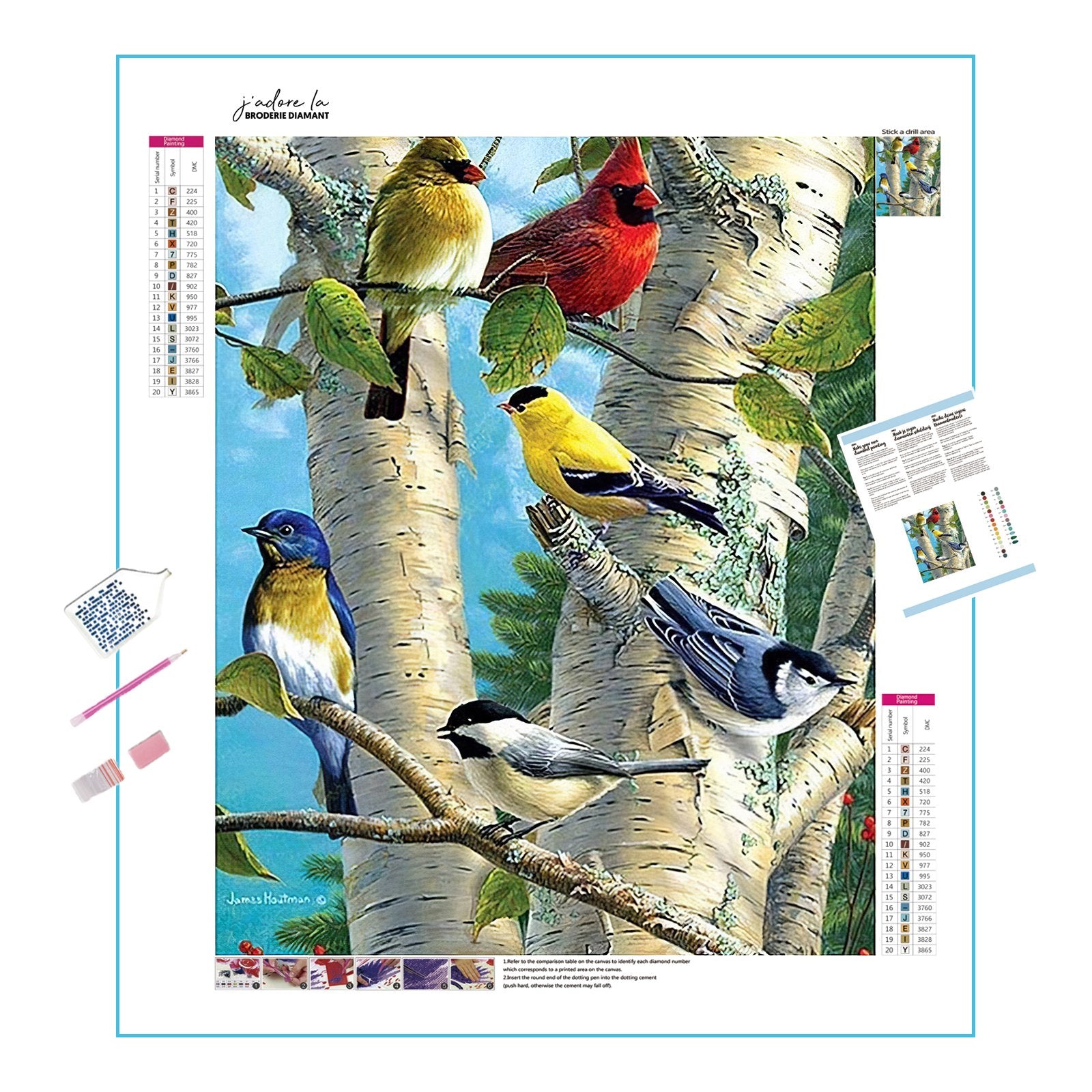 Harmony in avian life, a tree vibrant with birdsong. Birds In The Tree - Diamondartlove