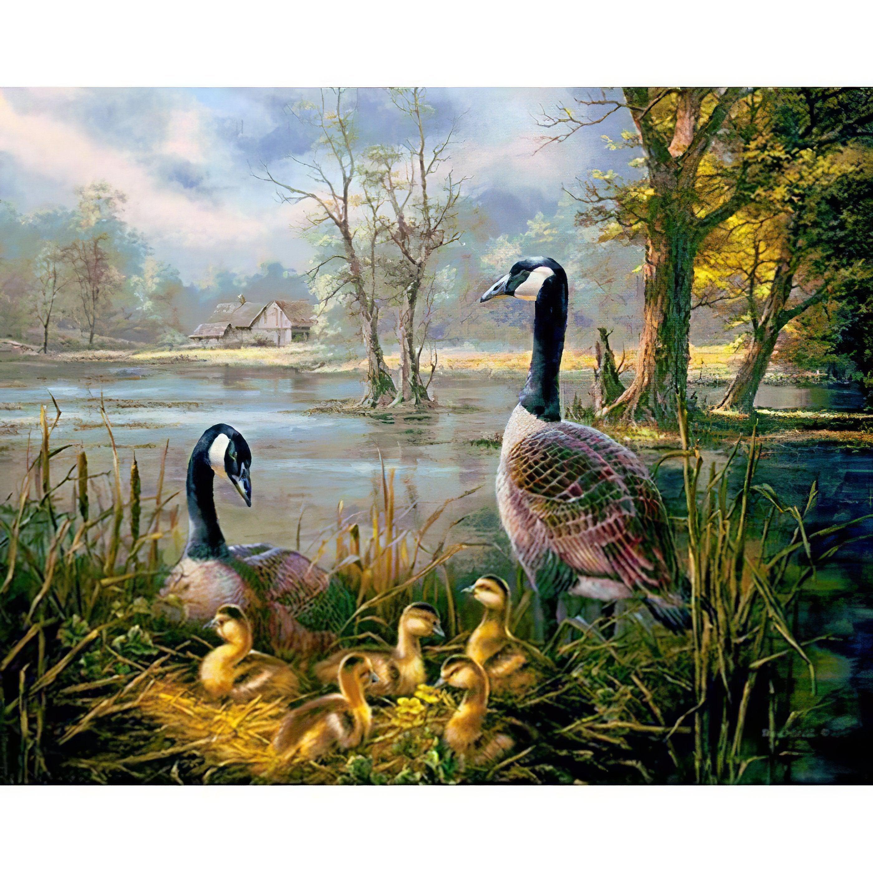 Enjoy charming Ducks in serene settings.Ducks - Diamondartlove
