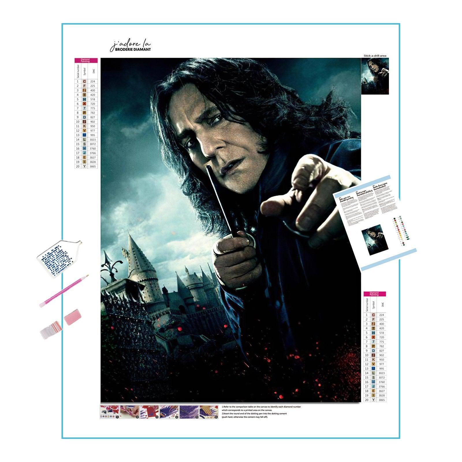 Professor Severus Rogue Of Harry Potter