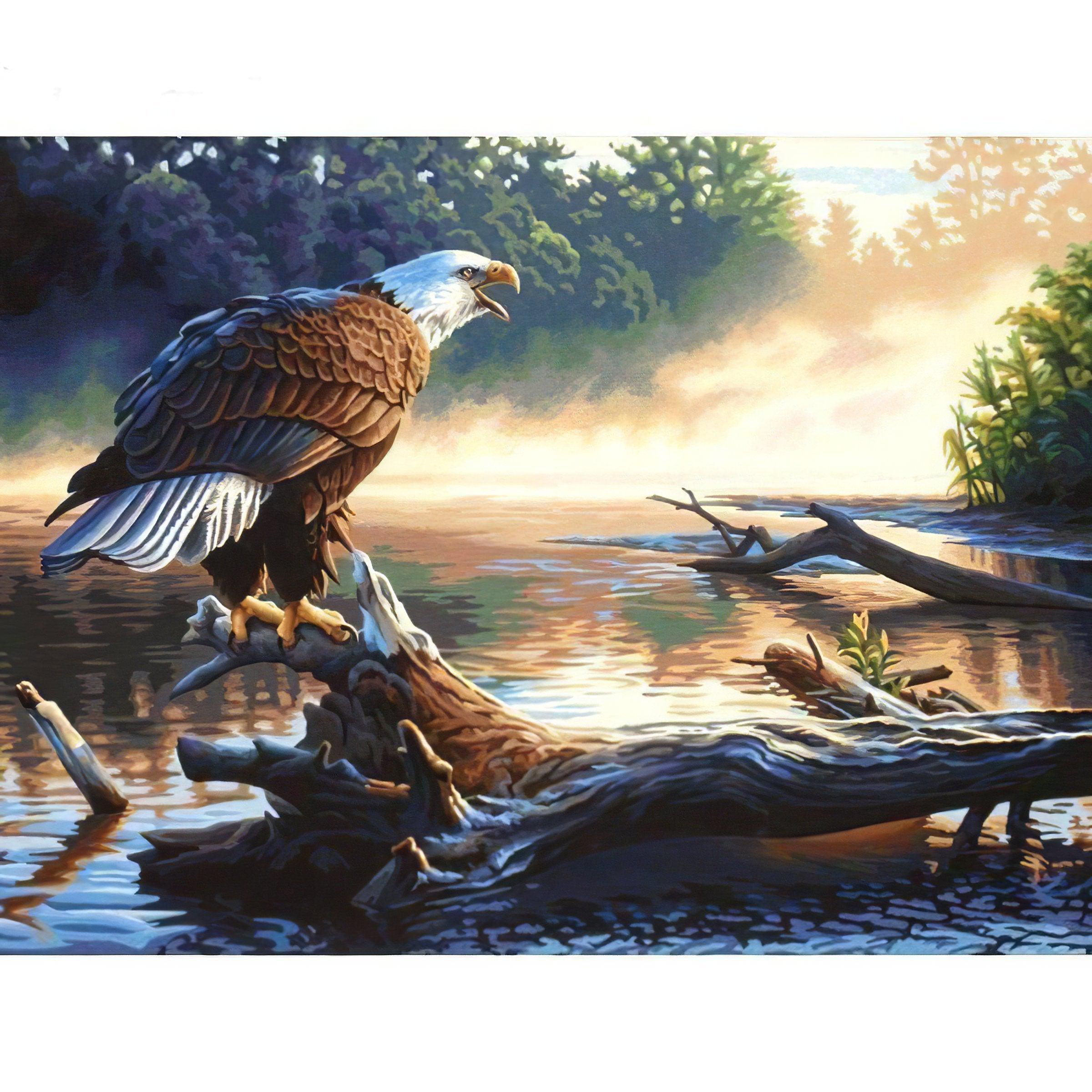 Embrace majesty with Eagle With White Head art.Eagle With White Head - Diamondartlove