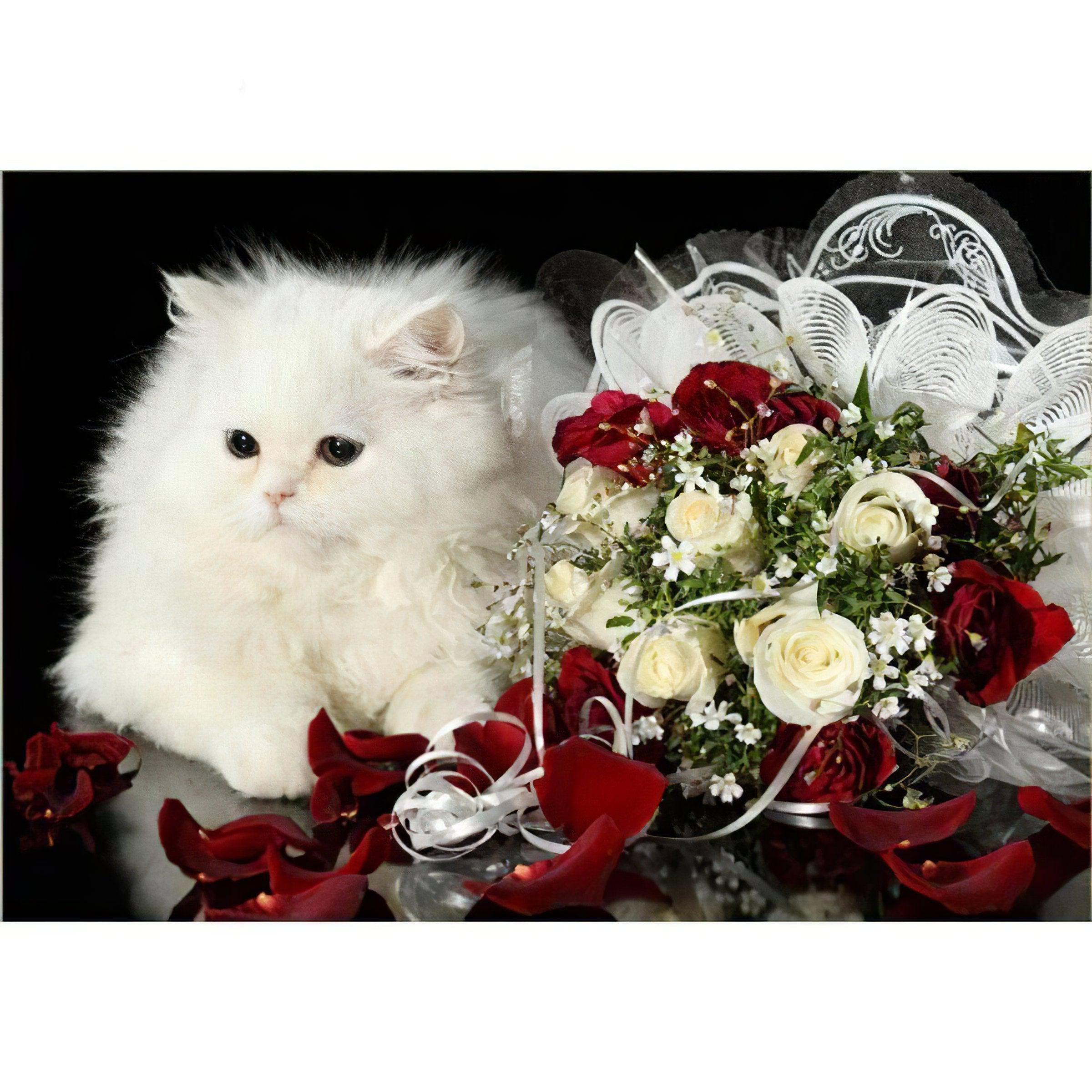 Delight in the curious gaze of a cat amidst a bed of vibrant roses. Rose And Cat - Diamondartlove