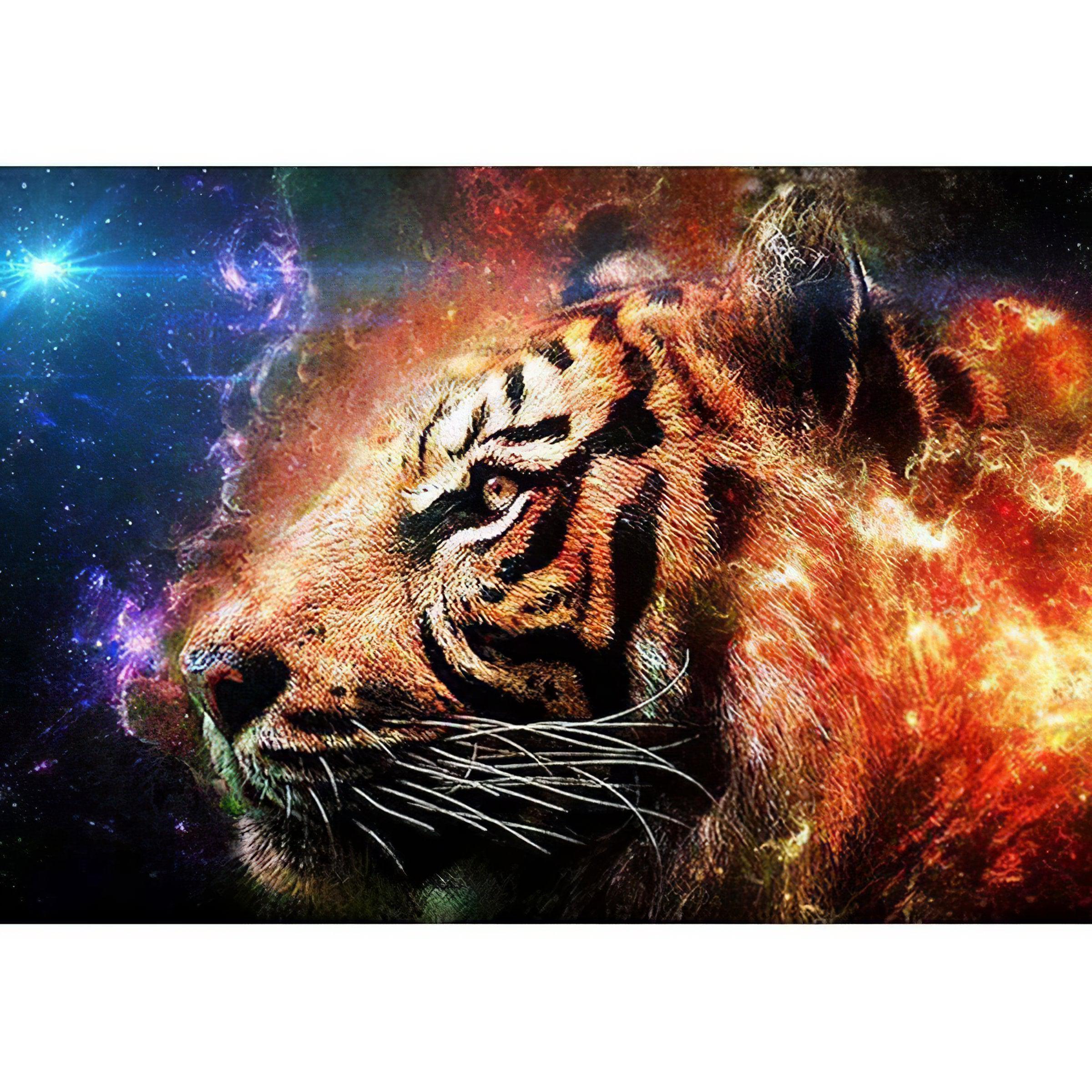 Tiger In The Galaxy