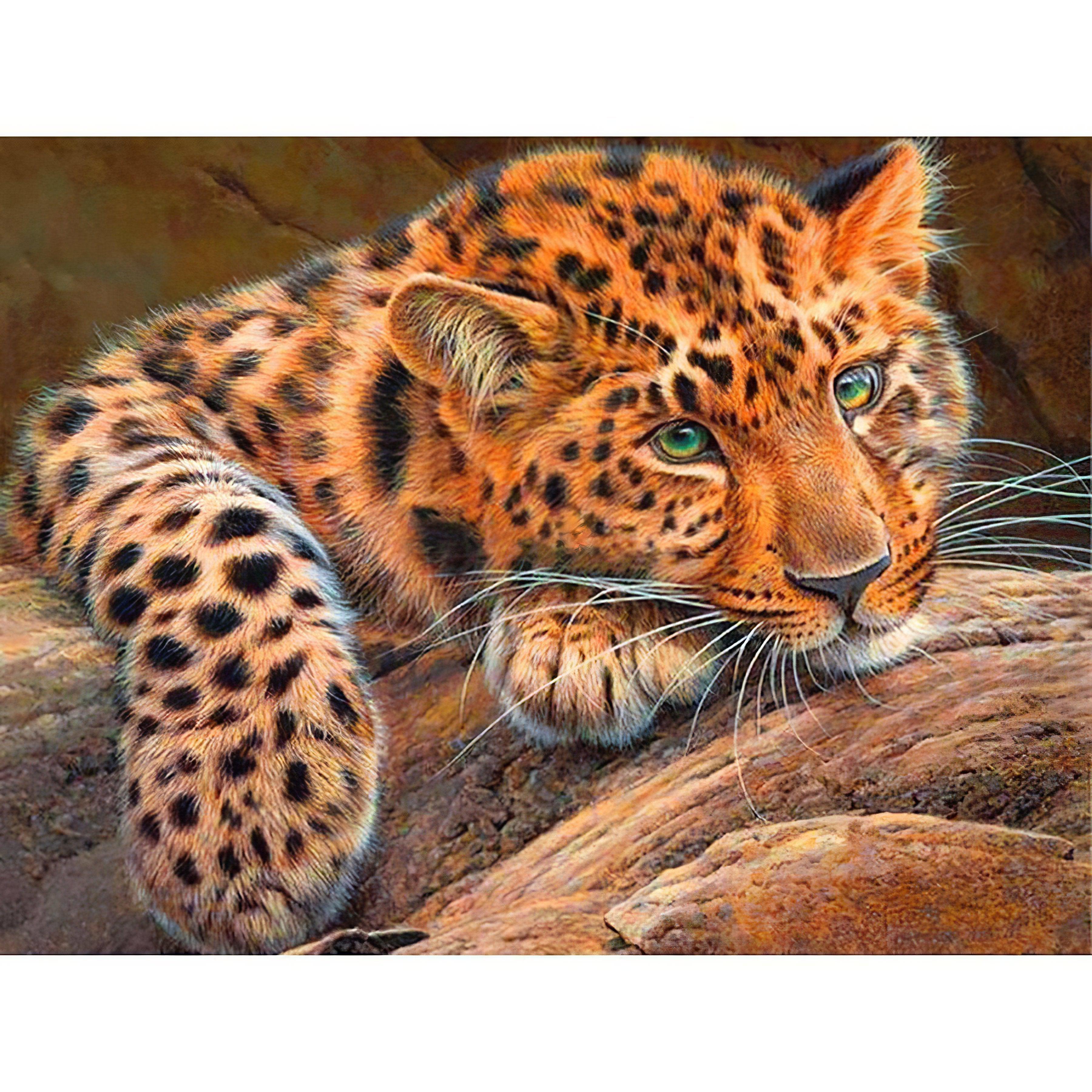 Capture the stealth and beauty of a Leopard in its natural habitat.Leopard - Diamondartlove