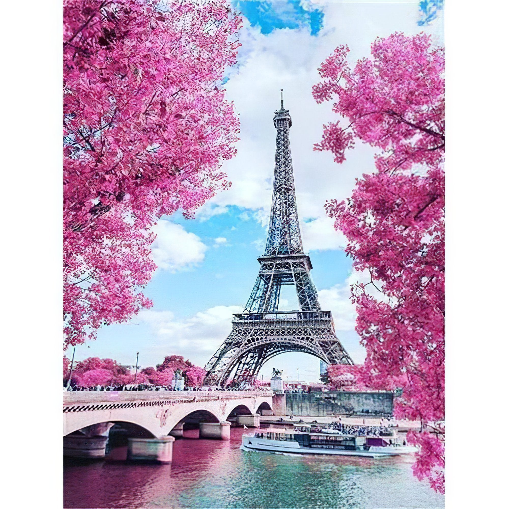 Eiffel Tower And Roses