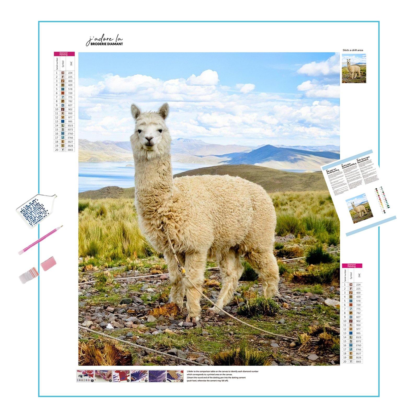 Alpaca: Cute and fluffy, a cozy addition to any room Alpaca - Diamondartlove