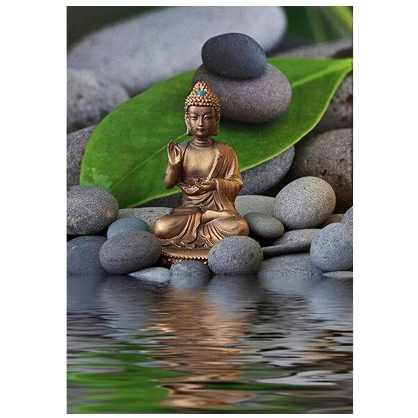 Buddha And Water