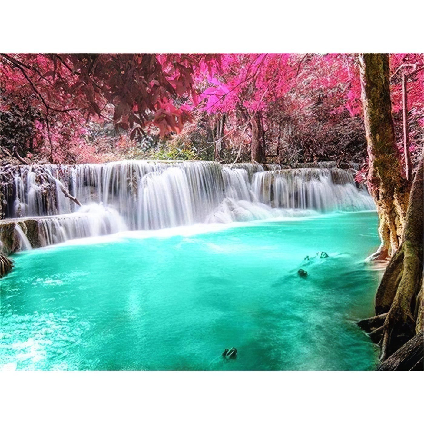 Escape to a cascade beneath blooming rose trees.Fresh Waterfall Under Rose Trees - Diamondartlove