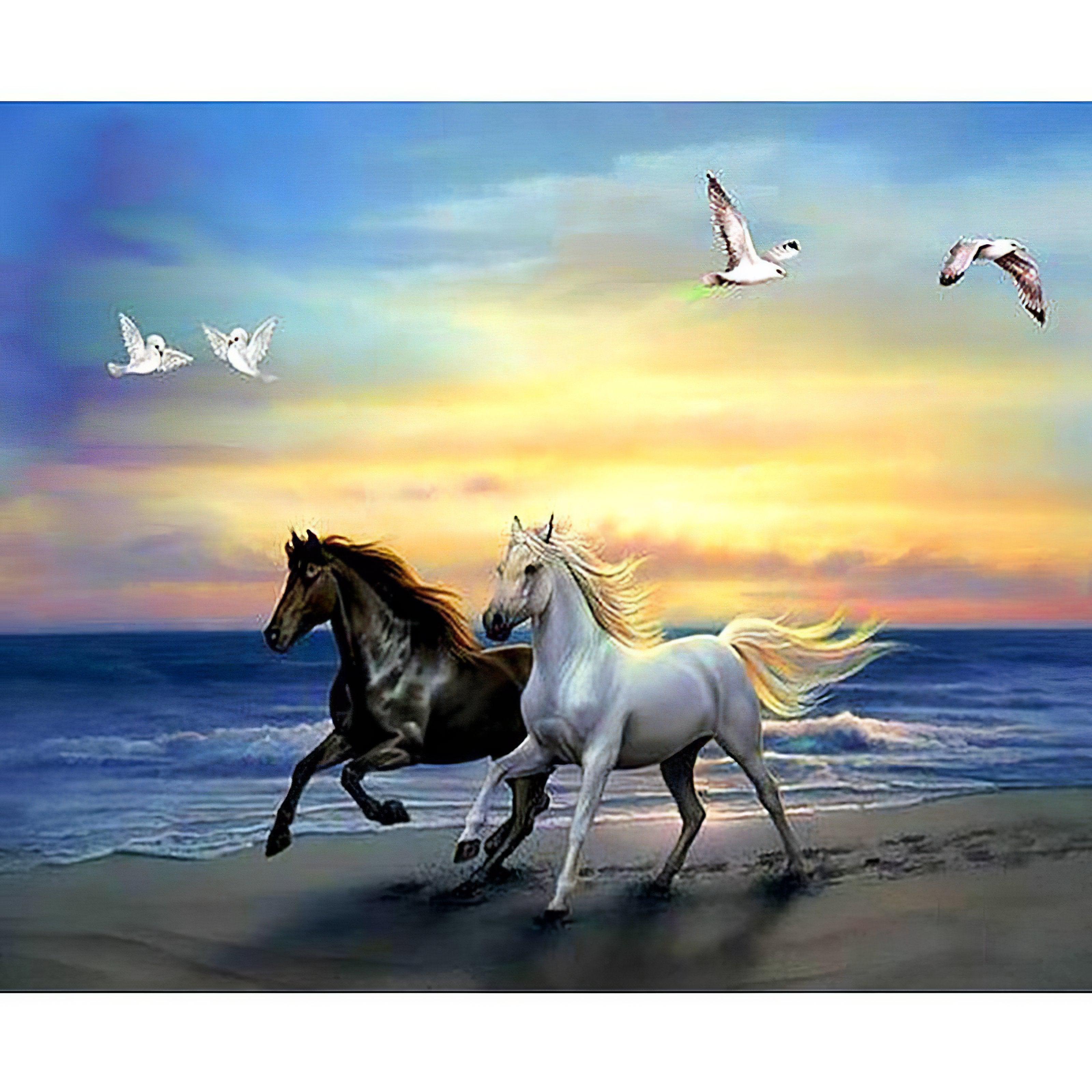 Capture the serene beauty of a Horse by the Sea.Horse By The Sea - Diamondartlove