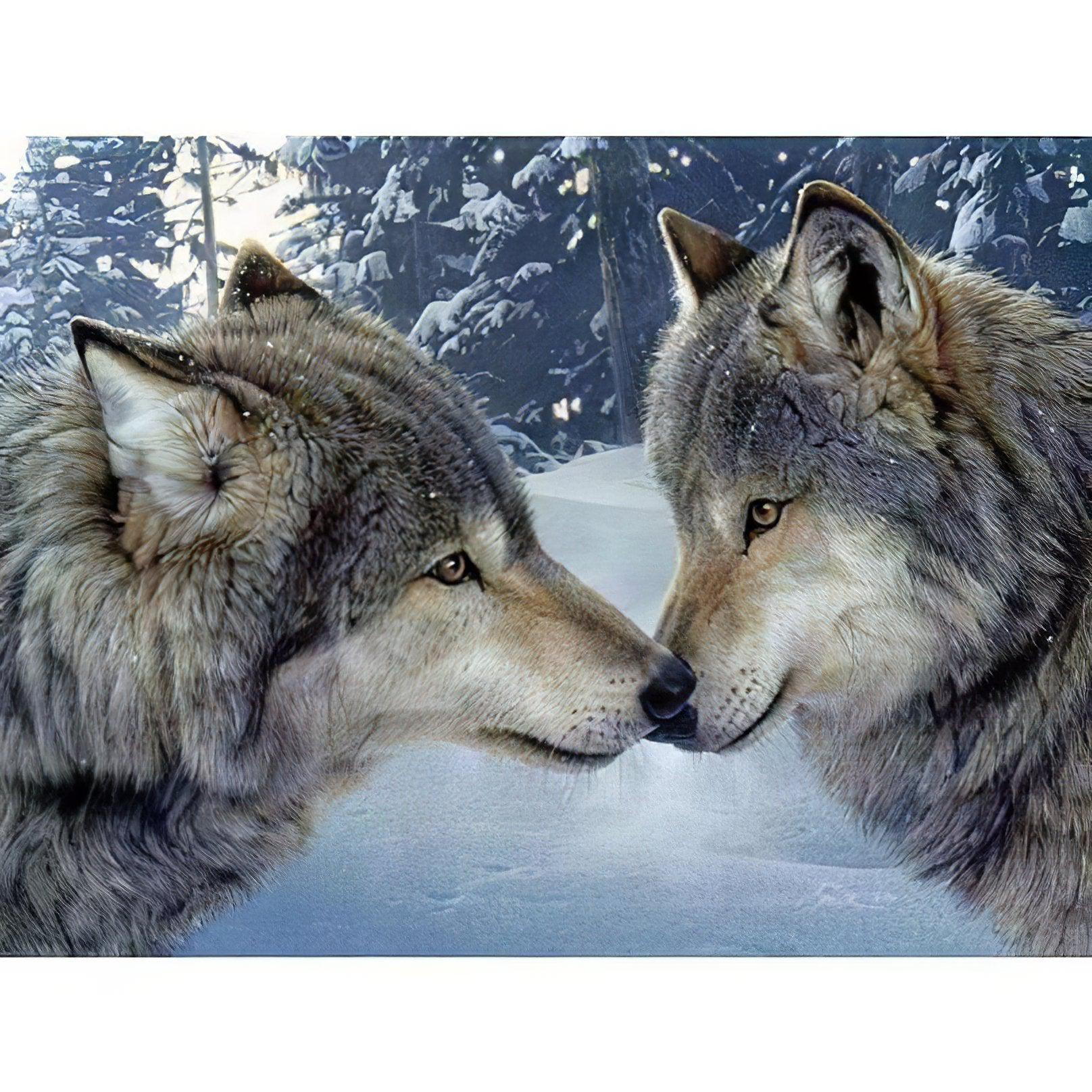 Unleash wild love with Couple De Loups Amoureux diamond painting. Couple De Loups Amoureux - Diamondartlove