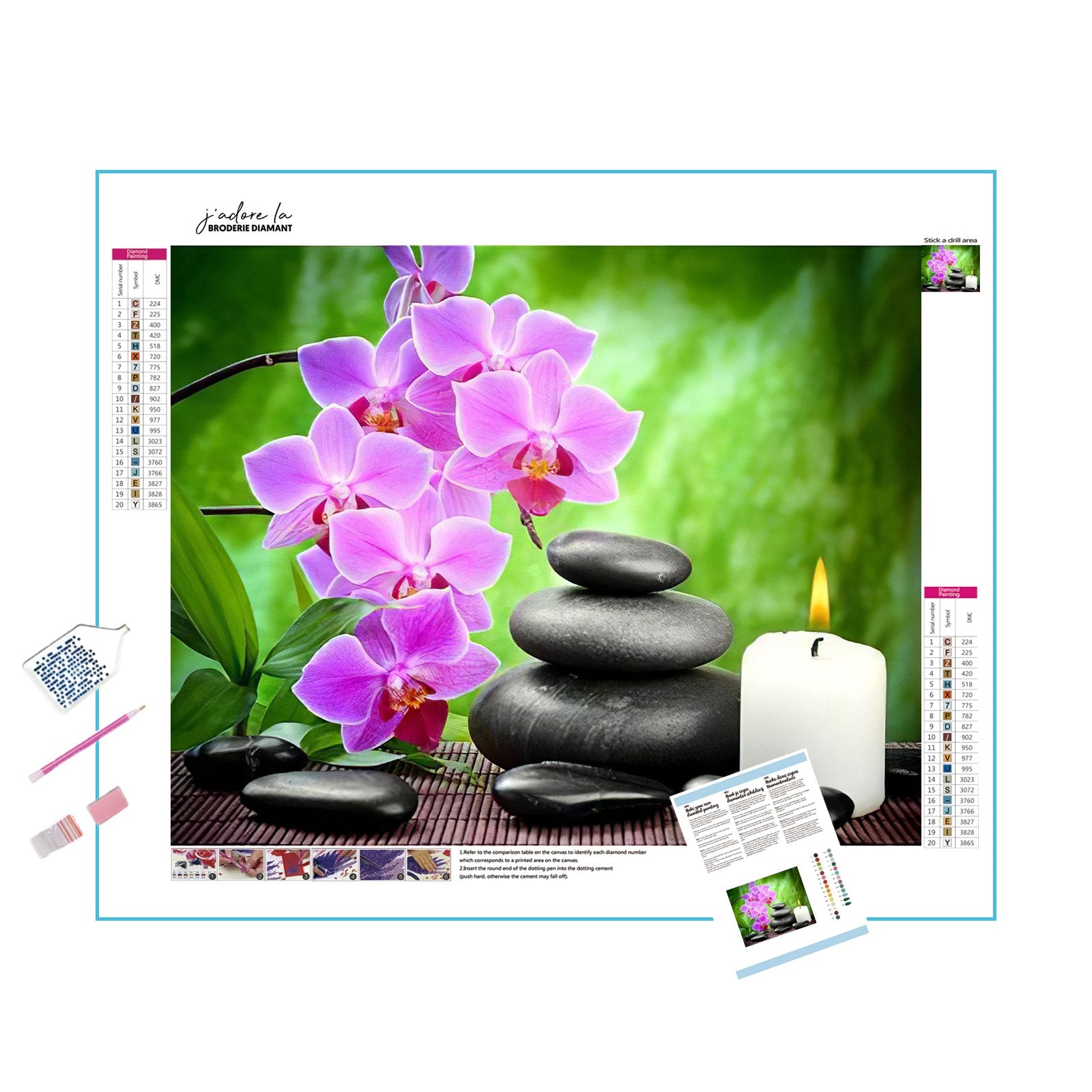 Orchidee Flower And Cailloux Zen