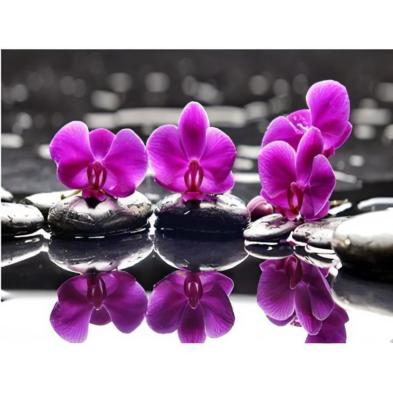 Purple Flower In The Water