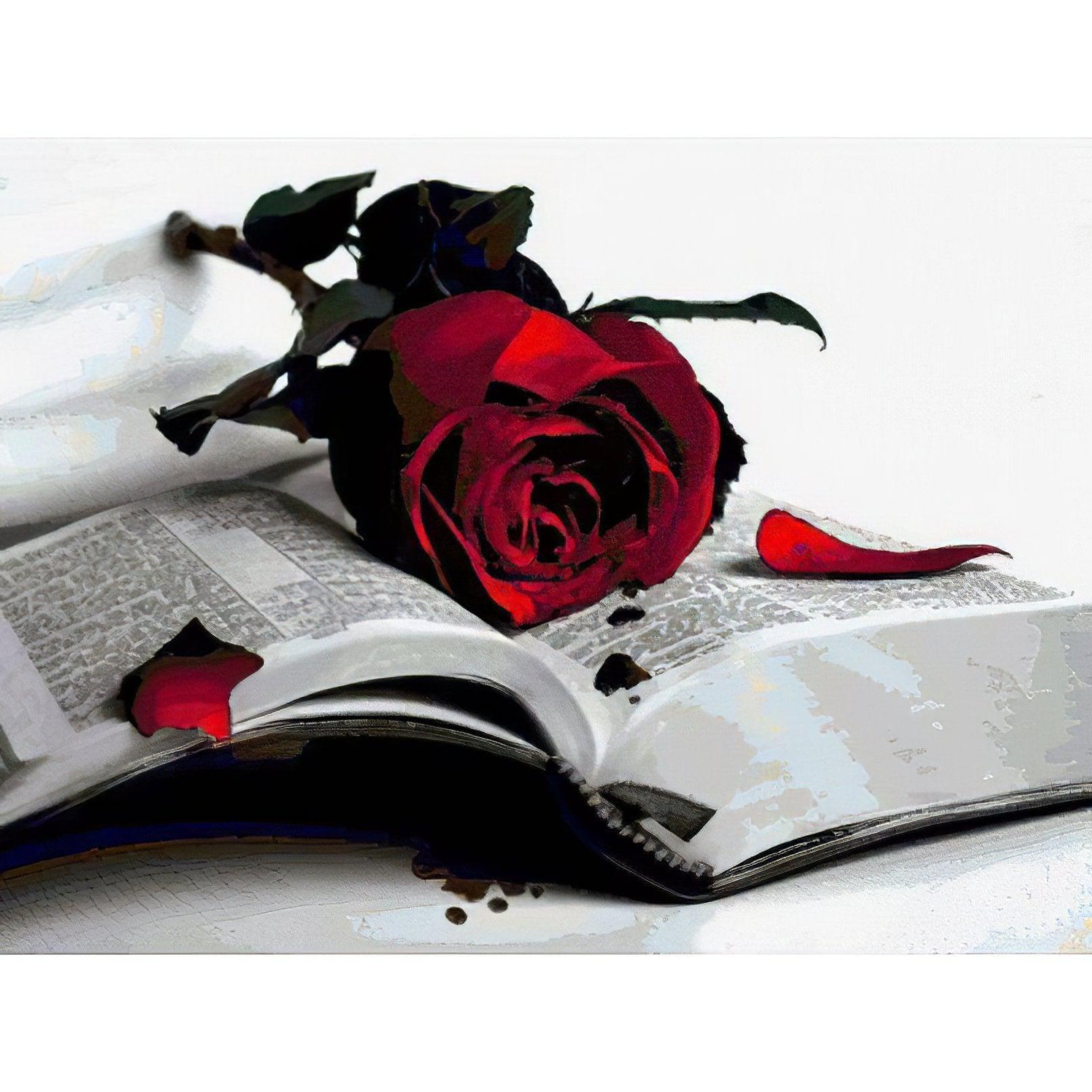 The Rose And Book