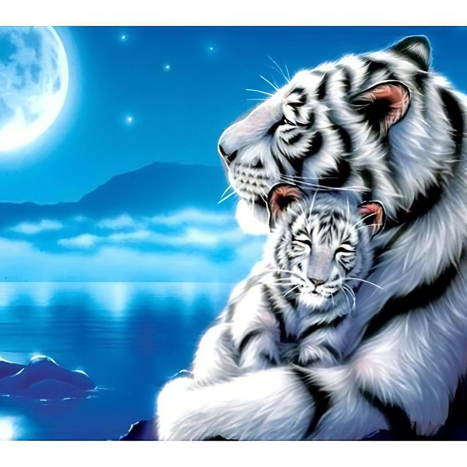 Baby White Tiger And It'S Mom: Rare beauty of maternal care Baby White Tiger And It'S Mom - Diamondartlove