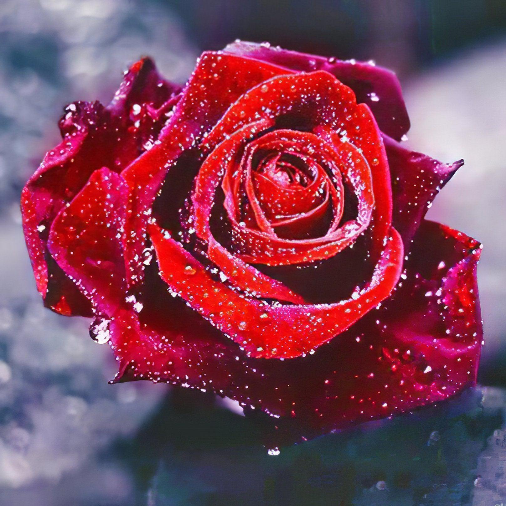 A rose in full bloom, symbolizing beauty and renewal. Blooming Rose - Diamondartlove