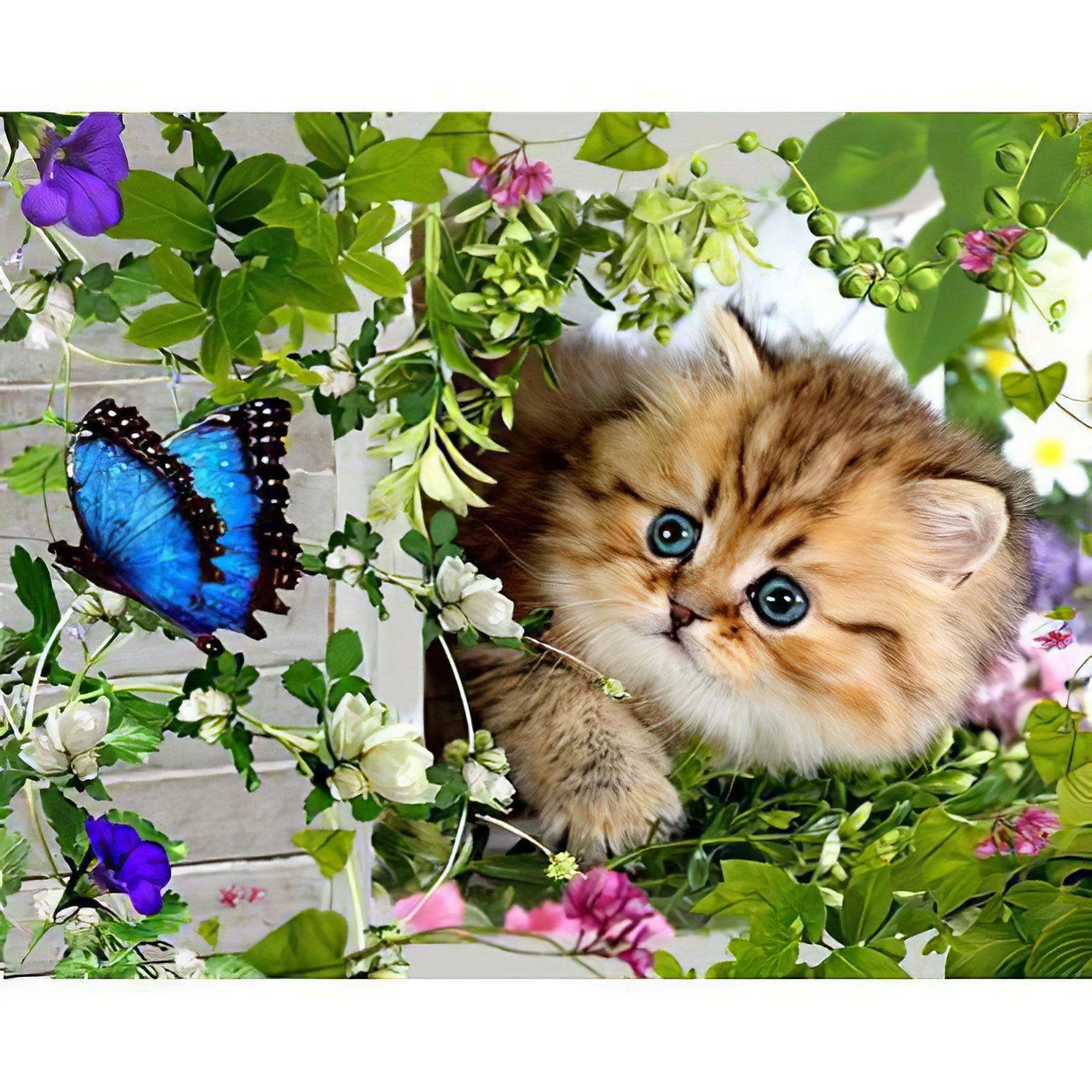 A kitten's enchanting encounter with a butterfly.Chaton Et Papillon - Diamondartlove