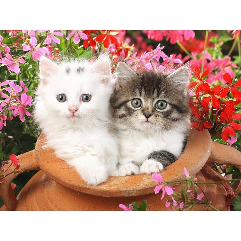 Meet our cute white and grey kittens, ideal for cat enthusiasts looking for furry friend. #2 cute kittens# - #Diamondartlove#
